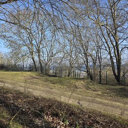 Im An Der Ostsee * Wohlenberg